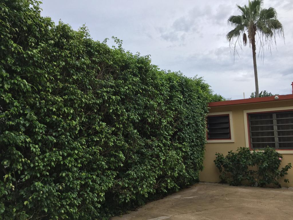 Tres Palmas Inn And Villas Rincon Exterior photo